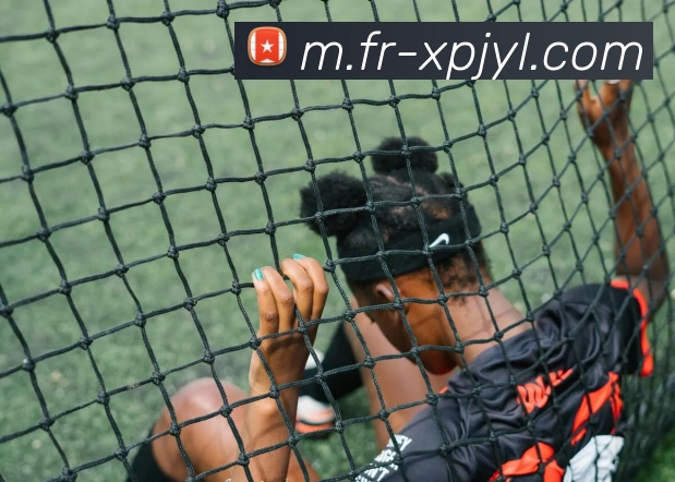 新葡京娱乐服务体系